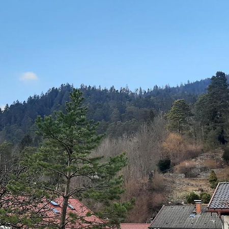 Appartement Im Hasental Garmisch-Partenkirchen Eksteriør bilde