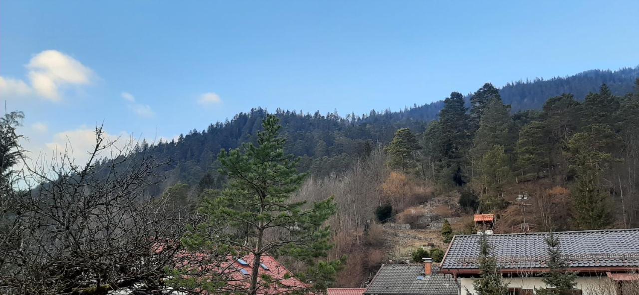 Appartement Im Hasental Garmisch-Partenkirchen Eksteriør bilde