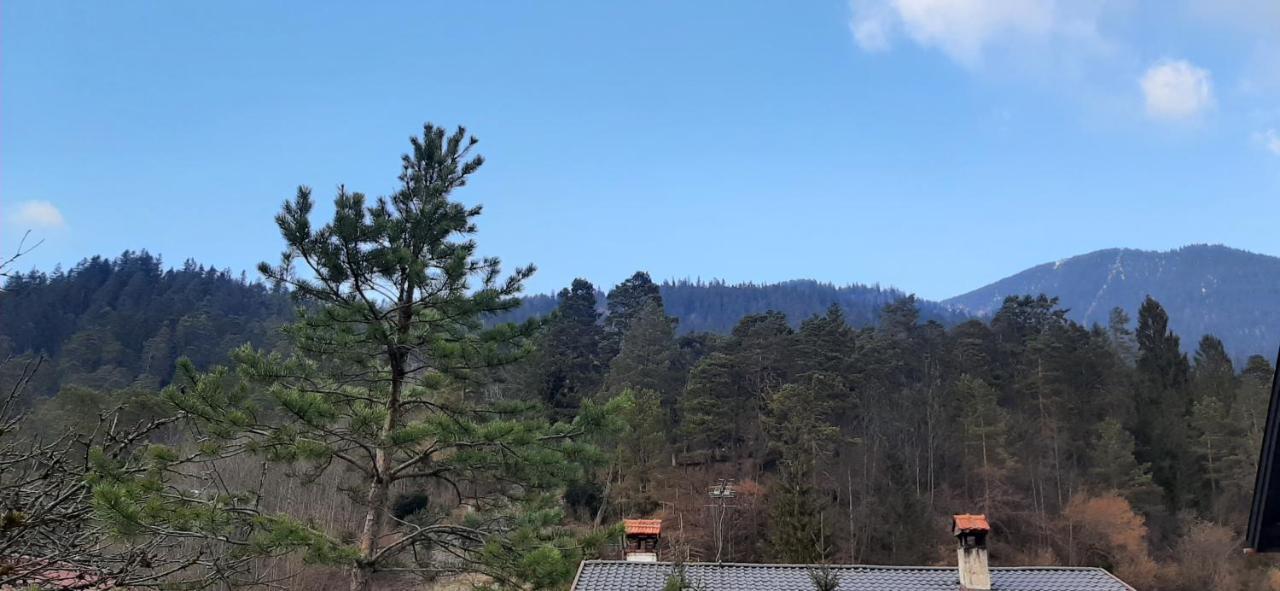 Appartement Im Hasental Garmisch-Partenkirchen Eksteriør bilde